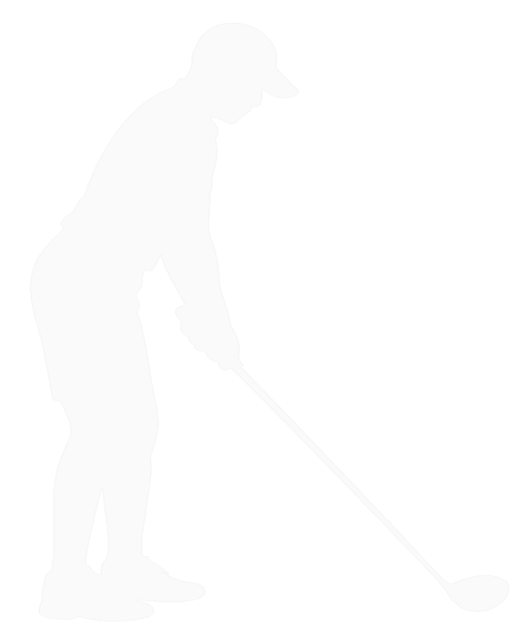 Reference silhouette of a golfer at address on a measurement grid